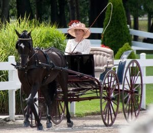 Kathryn J. Gallant - Rochester Cremation